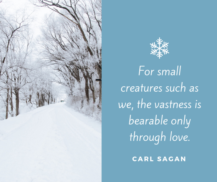 Carl Sagan love quote